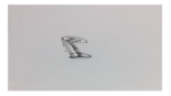 Wrong Signature 2